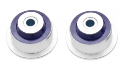 Control Arm Lower - Inner Rear Bushing Kit