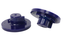 FORD SPRINGSEAT RAISED 10MM KT für Ford Falcon BA - BA / BF Sedan (2002 - 2008), Art.-Nr. SPF3183-10K